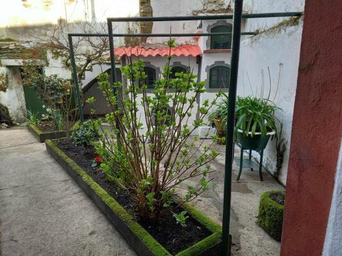 Bed & Breakfast El Bordon de La Casa Batallon