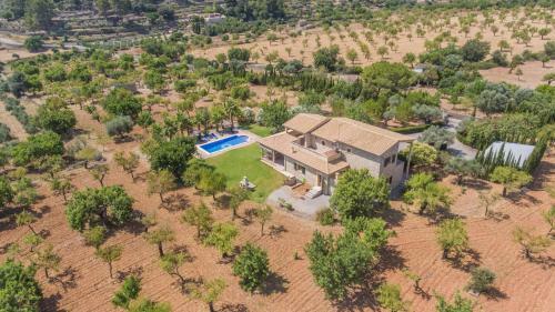 Finca Mestre