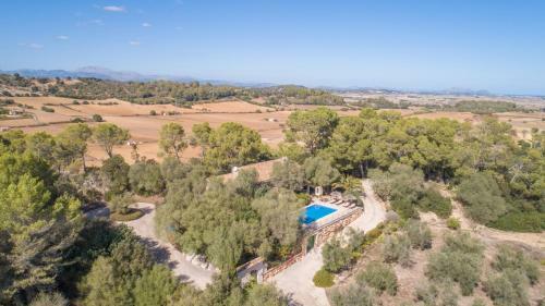 Sineu - 299353