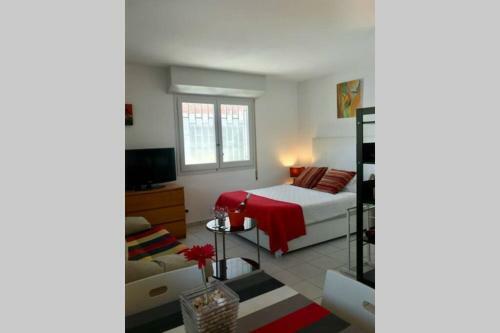 Apartamento Studio Los Globos 50 Mt From Beach - Pool