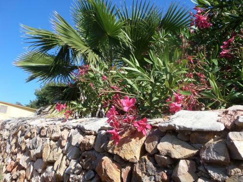 Nature Beach Resort Quinta Al-gharb