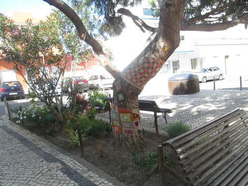 Hostel Pacifica