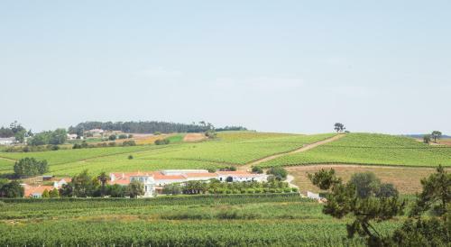 Agroturismo Quinta Do Rol