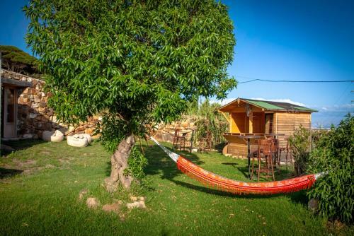 Albergue Wild House Tarifa