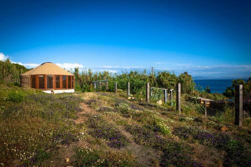 Albergue Wild House Tarifa