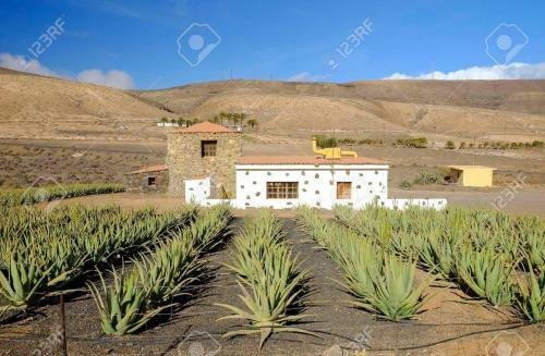 Apartment With Private Pool And Close To The Beach
