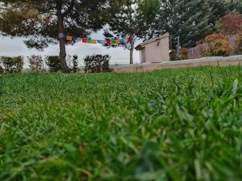 Agroturismo Casa Rural El Pita�ar