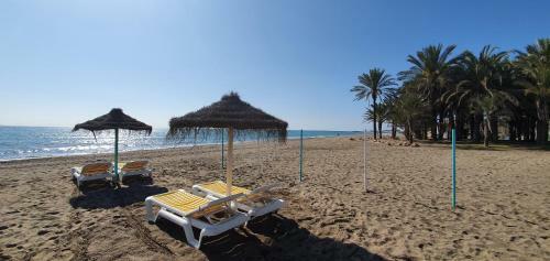 Apartamento Aut�ntico Playa
