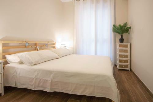 Apartamentos San Miguel