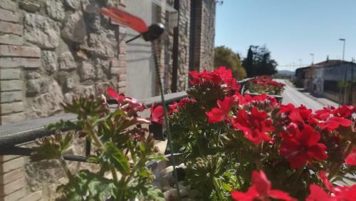 Apartamento Can Salva II