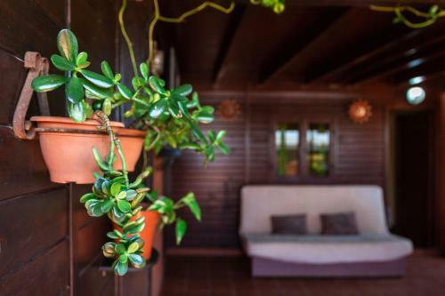 Apartamento Casa Orymar