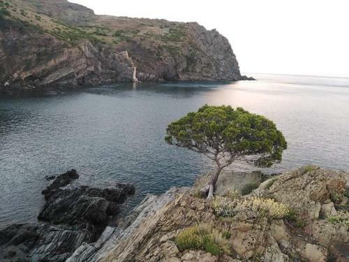 Apartamento Sant Jordi Santiago