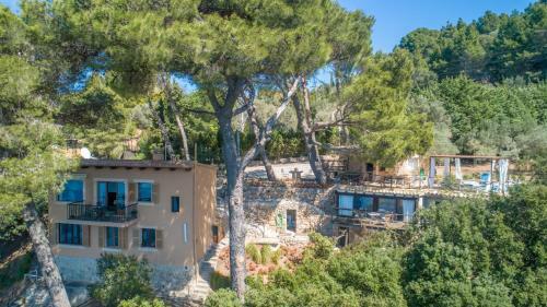 Valldemossa - 265998