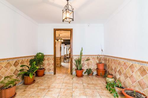 Casa Navarro