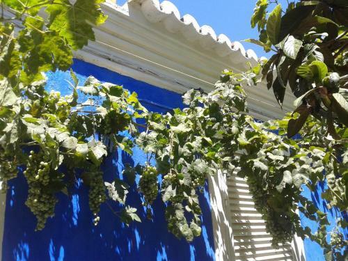 Hostal Quinta Da Fornalha