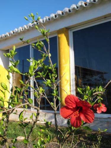 Hostal Quinta Da Fornalha