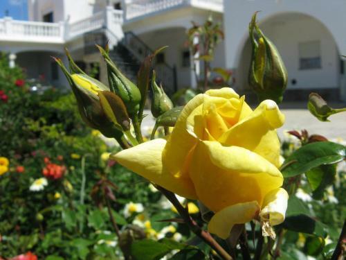 Hostal Residencia Quinta Do Po�o Guesthouse