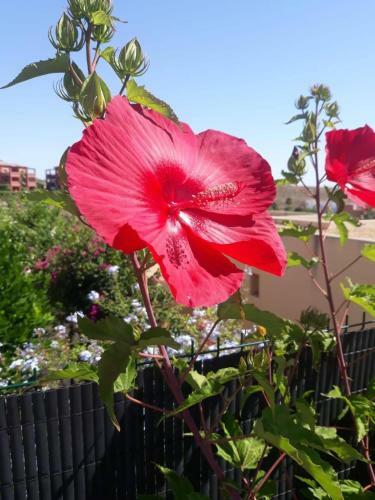 Stunning 2-bed House In Vera