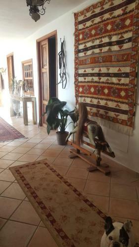 Ziggys Boutique Bed & Breakfast