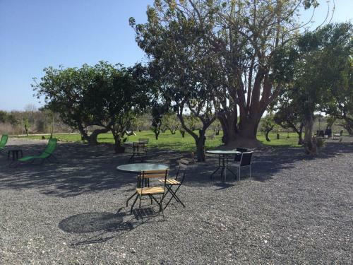 Bed & Breakfast Casa Primavera