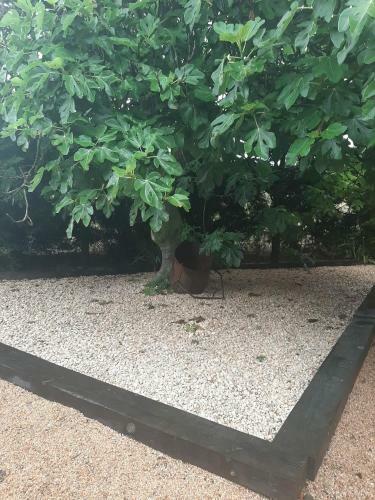 Casa Rural "can Abres" Vilobi D`onyar Girona