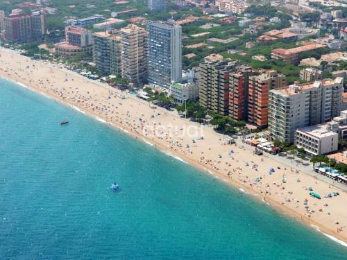 Apartamento Elypalace 11-9