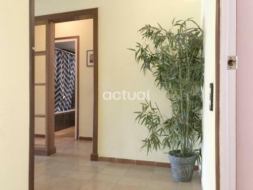 Apartamento Arroyo 3c