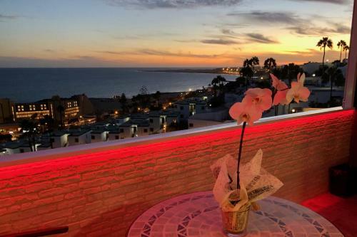 Ocean View Dream Apartment