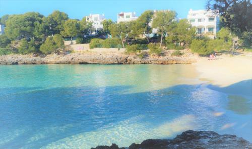 Apartamento Bungalow Playa D'or, 2 Y 4