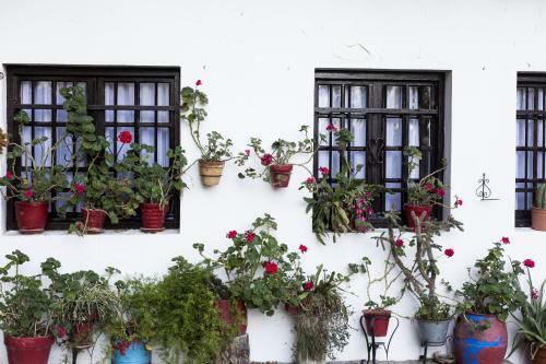 Apartamento Olerki By Smiling Rentals