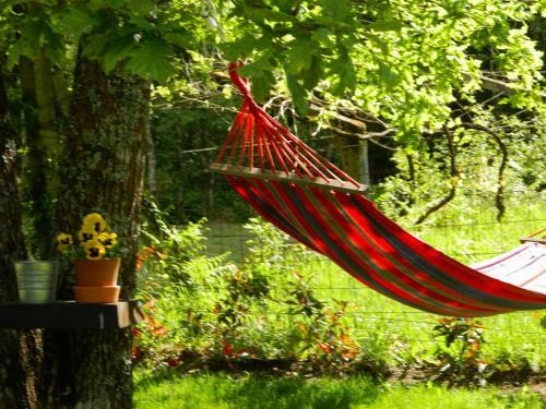 Quinta Lamosa Agroturismo