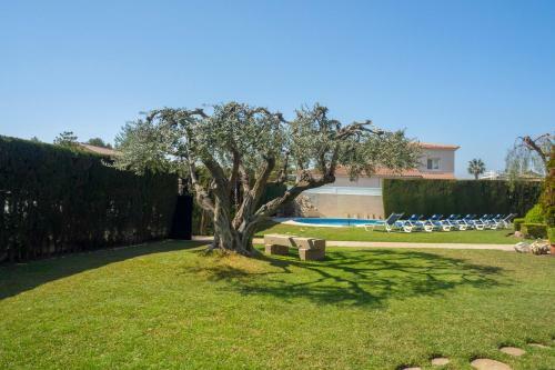 Club Villamar - Stone
