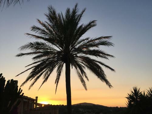 Apartamento Studio Sur In Son Macia Mallorca - Adults Only