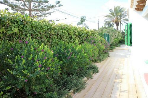 Apartamento Es Daus - Formentera Break