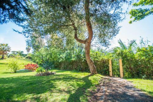 Cubo's Apartamento Torreoceano B