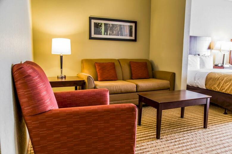 Hotel Comfort Suites Universal Studios Area