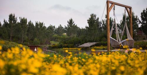 Bed & Breakfast Teima, Alentejo Sw