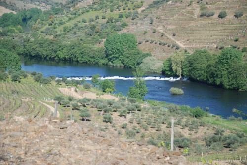 Agroturismo Casa Oliveiras Do Douro