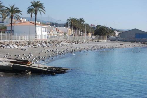 Apartamento A&n Seaport 2b