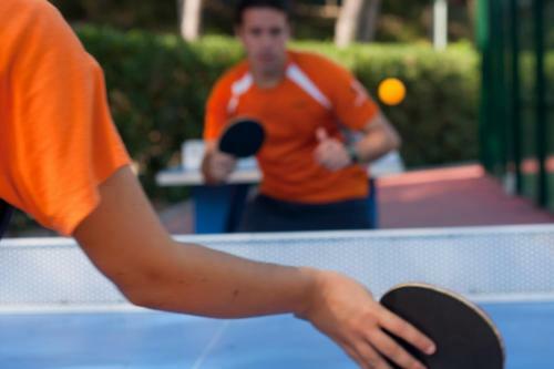 Camping Torre De La Mora