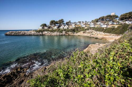 Camping Torre De La Mora