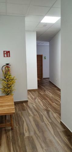 Apartamentos Antares Sl