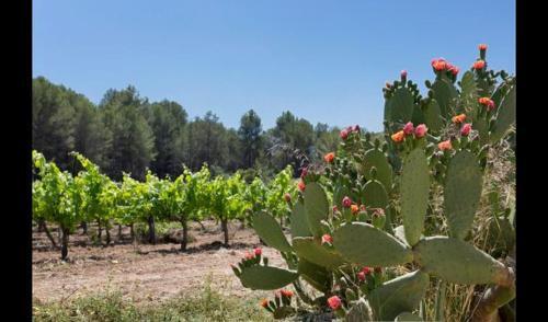 Villa In L'arbocar de Baix Sleeps 6 With Pool