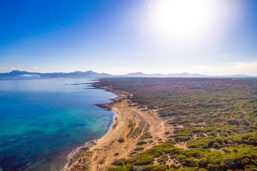 Vernissa Id:72594/2020