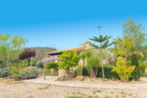 Villa Son Ferragut