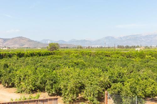 Villa Finca Albaimar