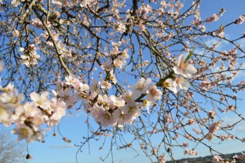 Bed & Breakfast Quinta Da Mesquita