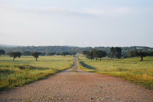 Herdade Da Negrita - Agroturismo