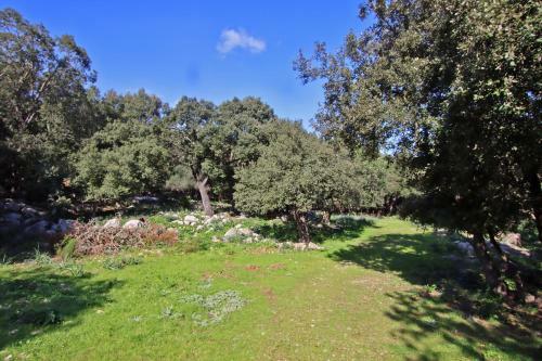 Villa Es Bosquet