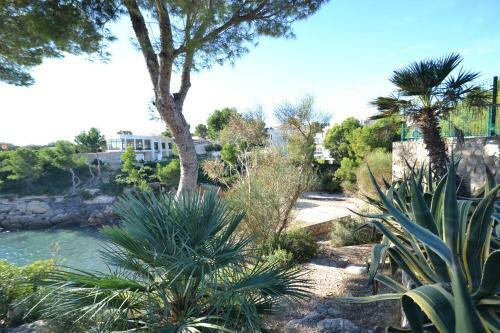 Wvp Villa Volanti